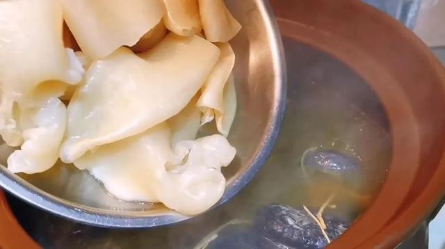 南非花胶功效与作用 2026年南非花胶功效与作用是什么