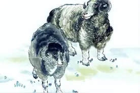 最傻的3大生肖，做事没心机，却很有福气，容易出人头地高攀不起图片