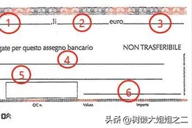 怎么填写意大利支票？图片