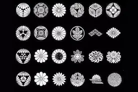 九菊一派知多少图片