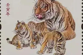 | 虎年说虎图片