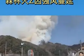 韩国江原道发生山林火灾，火势随风快速蔓延图片