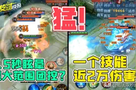 什么黑科技？一个2.5秒超大的团控，一个技能近两万的伤害图片