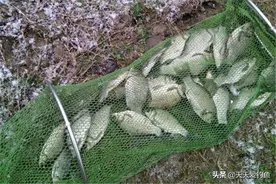 冬季钓鱼，遇上刮风容易停口，经验告诉你，这2种风向鱼口最好图片