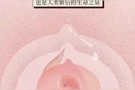 揭秘乳房发育全过程：从小到大，从兴到衰 （漫画）图片