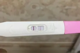 孕妇食谱推荐图片