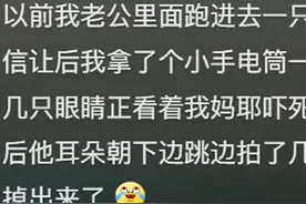 虫子进耳朵里怎么办？网友的神操作，让人目瞪口呆图片