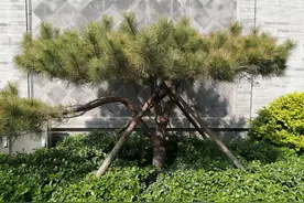 毛泽东革命胜利的方程式图片