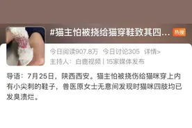 猫咪长时间穿鞋导致四肢溃烂，原因竟然是…主人怕被挠？图片