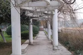 整天只忙于挣钱的你，为什么忙到最后，竟然，发现挣钱难且不易呢图片