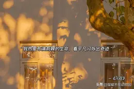 一眼就爱上的心动歌词文案图片