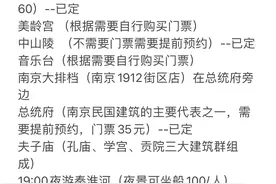 周末南京两日游攻略（带娃6岁）图片