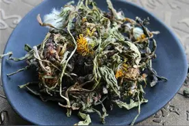 中药又立功？蒲公英可消灭98%癌细胞、消结节？是真的吗？图片