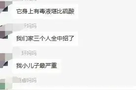 家里要是有这种虫子一定要注意，千万别用手直接拍打。图片