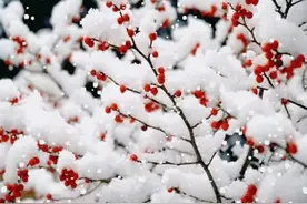 新一轮寒潮来袭，大暴雪连下7天，最冷春天要来了？农谚咋说图片