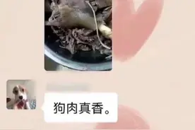 长春：男子居家隔离吃掉宠物狗，聊天记录曝光惹众怒图片