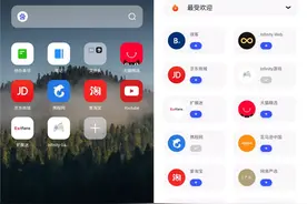 支持各种 "扩展插件" 的安卓浏览器图片