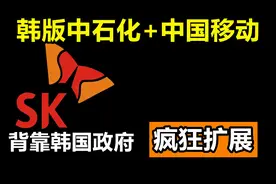 SK集团：地位不输三星、现代，堪称韩版中石化＋中国移动图片