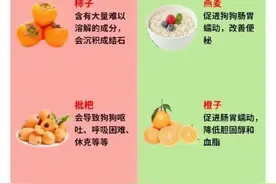 狗狗“能吃”和“不能吃”的东西有哪些：别再盲目给狗狗喂东西啦图片