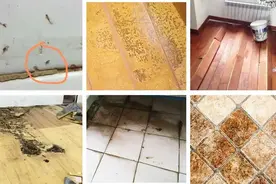 天天拖地板还是脏怎么办？教你正确做法，地板光亮不沾灰，贼实用图片