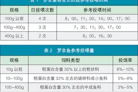 华南沿海咸淡水地区 罗非鱼与南美白对虾混养技术图片