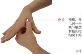 穴位：一个神奇的穴位，抗血栓，降血压，治“一切风，一切血”图片