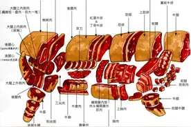 买牛肉时，挑选哪个部位最好？1分钟就学会图片