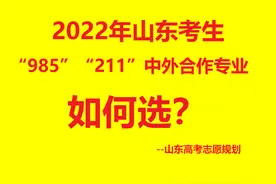 “985”、“211”高校中外合作专业，2021年在山东录取数据汇总图片