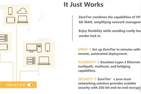 ZeroTier 自建PLANET( 行星服务器) 实现异地组网图片