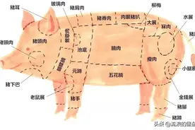 一头猪的“吃法”：东北人给安排得“明明白白”，一点都不浪费图片