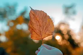 如果觉得工作太难，不妨看看马伯庸《长安的荔枝》图片