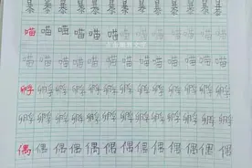 小小书法家图片