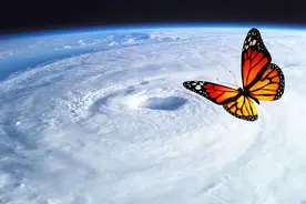 一只蝴蝶扇动翅膀，真能引发12级台风？图片