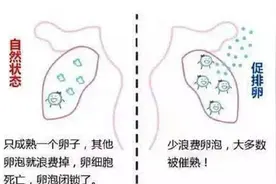 促排是啥？图片