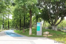 “骑”乐无穷 | 黄埔岛游的正确打开方式，一起来骑行吧！图片