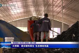 大观镇：废旧塑料再生 生态增收双赢图片