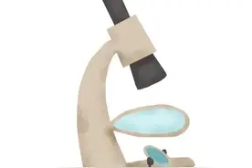 在家就能玩的科学小实验图片
