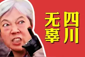 插队母女事情新变化：舆论再转向，胡锡进强势发声，网友痛批网暴图片