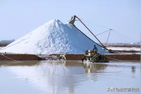 日本排核污入海，该囤的不是盐，而是这5样，提前备点吃得更安心图片