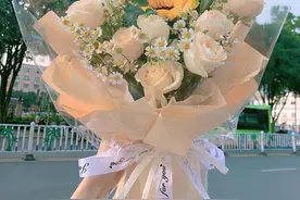 哪些花适合送朋友？5种适合送给普通朋友的花图片