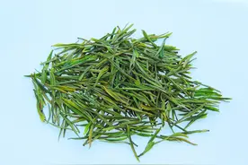 安吉白茶是白茶吗，如何用玻璃杯冲泡呢？图片