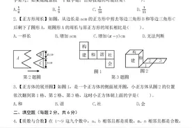 2021年重庆育才中学小升初入学数学试卷及逐题解答图片