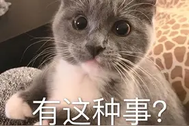 听完讲座便要买12万多的床垫！有人吐槽家里老人被洗脑，营销绝了图片