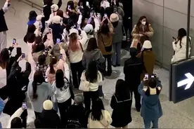 粉丝接机造成拥堵还冲警察大喊！艺人道歉图片