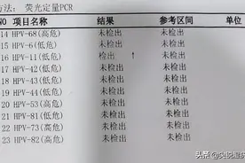 hpv6和11是什么意思图片