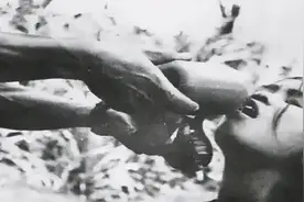 盘点美军在越南曾使用的生化武器，空孕催乳剂让越南女兵抬不起头图片