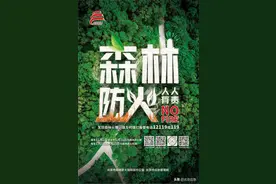 森林防火主题海报火热出炉，快来尝鲜！图片