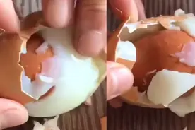 鸡蛋里面挑骨头图片