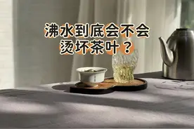 100℃沸水泡绿茶、白茶、红茶，会损失营养吗？怎么泡茶更好喝？图片