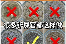 这些“毒”猫粮还在喂猫咪？它们都进黑名单了图片